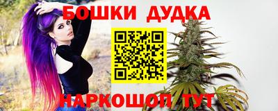 прущие крисы Будённовск