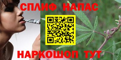 прущие крисы Будённовск