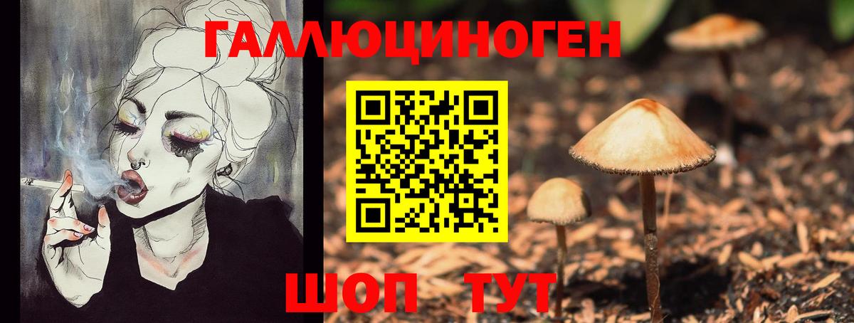 Галлюциногенные грибы ЛСД Кострома